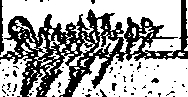 smeared
